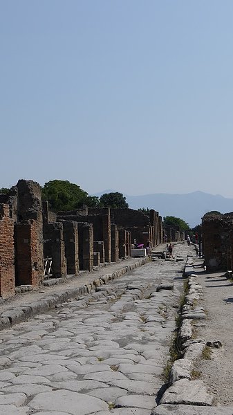 P1110026.JPG
