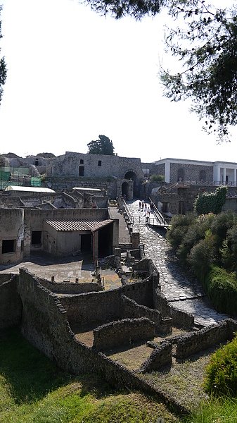 P1100948.JPG