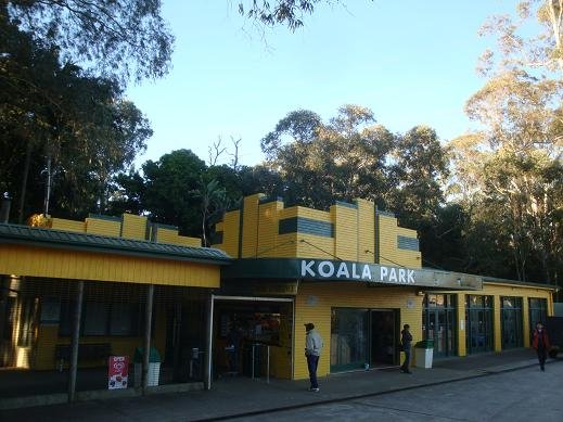 61.KOALA PARK.JPG