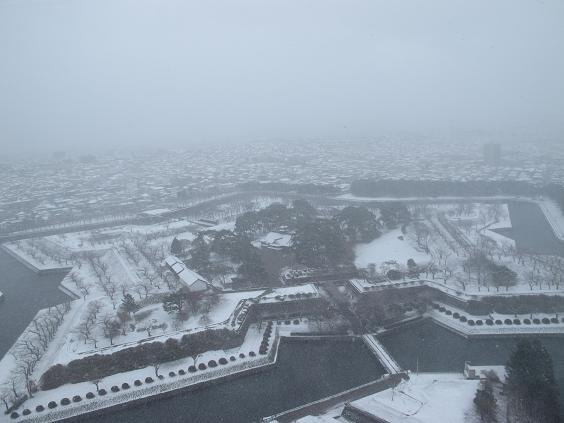 76.超美的五稜郭城公園.JPG