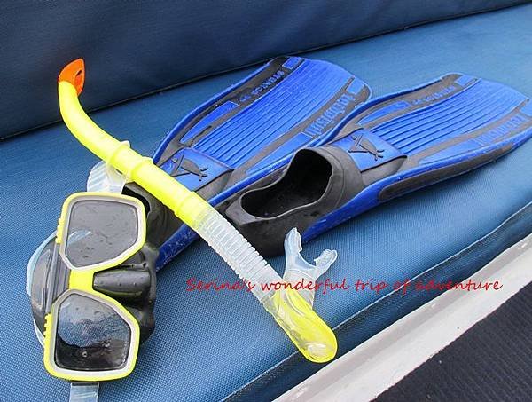 10. SNORKELING .JPG