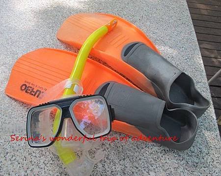 19. Snorkeling equipment