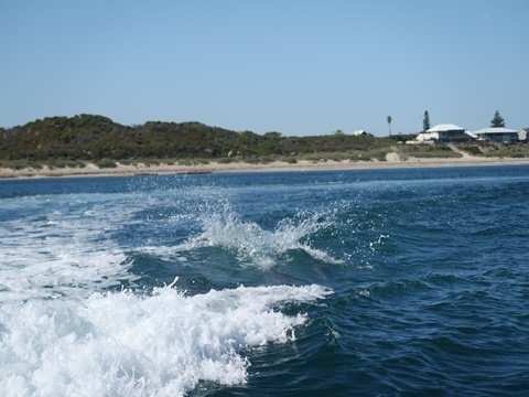 14. 快艇激起浪花 讓海豚追浪花.JPG