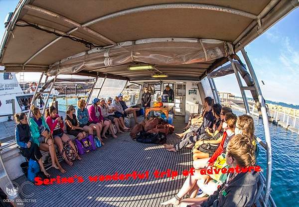 227. Swing with Whale shark @Coral Bay Ningaloo Diving Centre.jpg