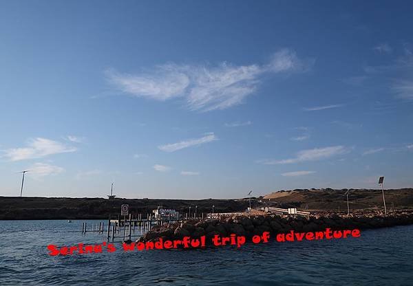 229. Swing with Whale shark @Coral Bay Ningaloo Diving Centre.JPG