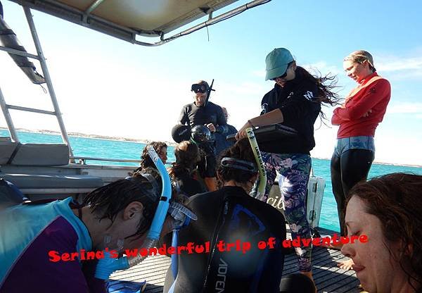 249. Swing with Whale shark @Coral Bay Ningaloo Diving Centre.JPG