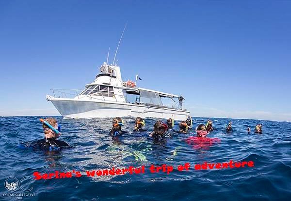 262. Swing with Whale shark @Coral Bay Ningaloo Diving Centre.jpg