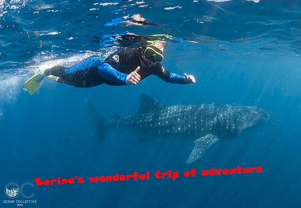 267. Swing with Whale shark @Coral Bay Ningaloo Diving Centre.jpg