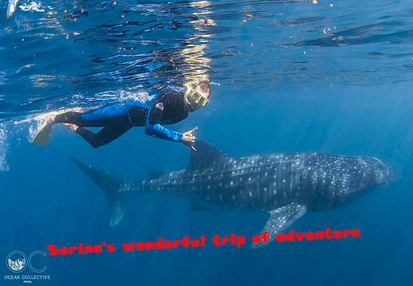 268. Swing with Whale shark @Coral Bay Ningaloo Diving Centre.jpg