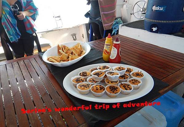 274. Swing with Whale shark @Coral Bay Ningaloo Diving Centre.JPG