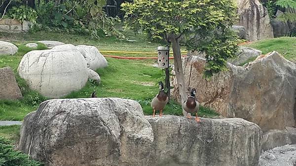 20140428_庭園餐廳_風景17.jpg