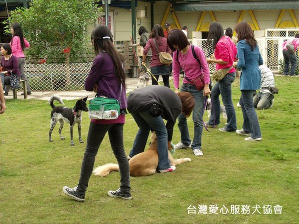 75767_158344324203879_133572940014351_260035_1655316_n 拷貝.jpg