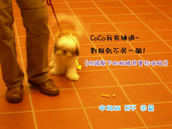 990910中階社會化-off拷貝.jpg