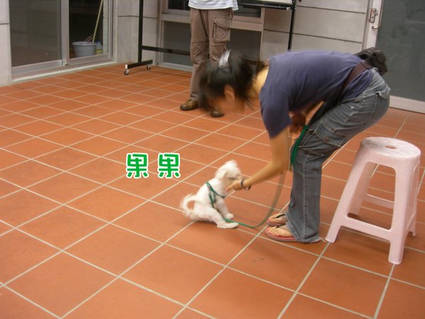 990910基礎果果 拷貝.jpg