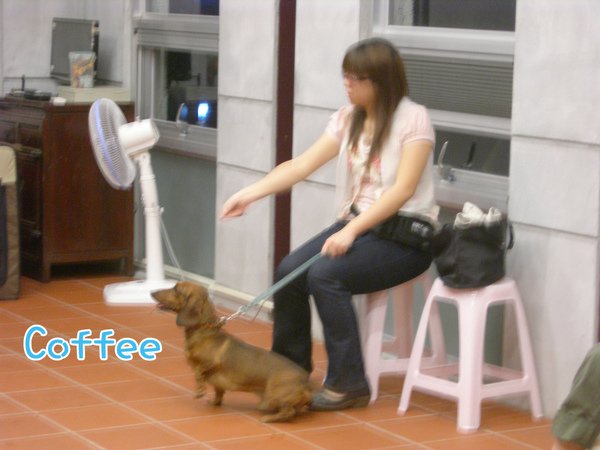 990910中階社會化coffee 拷貝.jpg