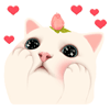 13.gif