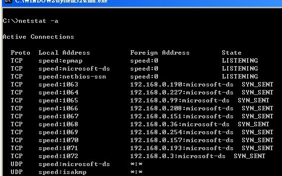 001.netstat-a.jpg