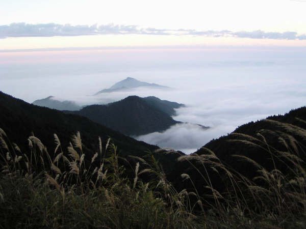 觀霧雲海.JPG