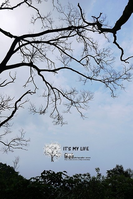 下一張(熱鍵:c)
