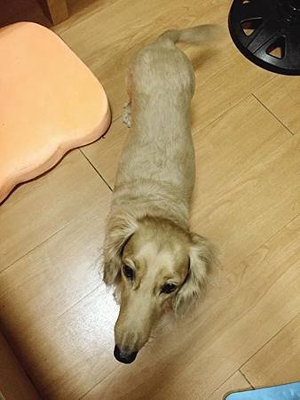 瘦小七