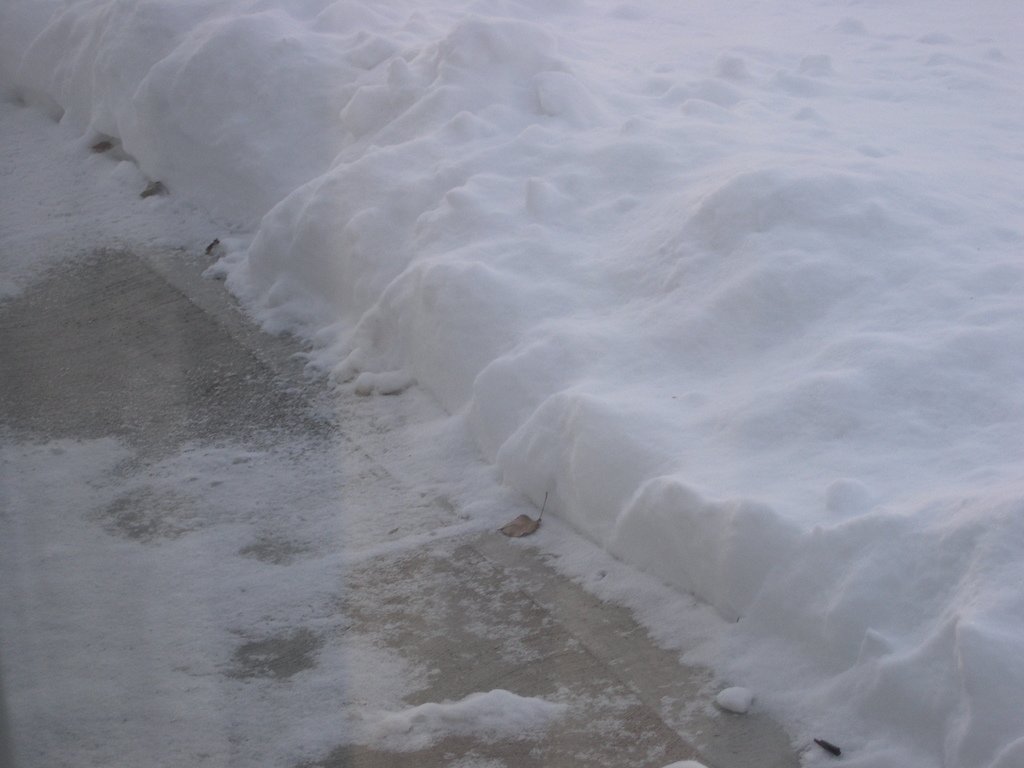 大雪