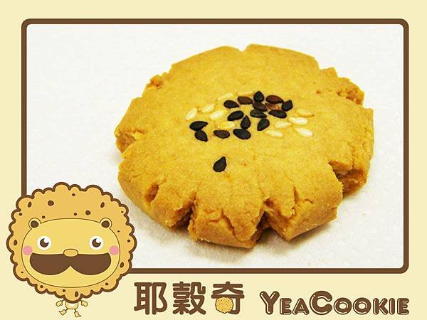 鄉村乳酪餅乾.jpg