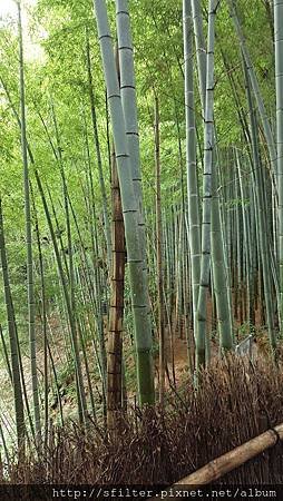 20160628_130809.jpg