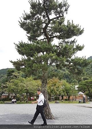 20160628_145047.jpg