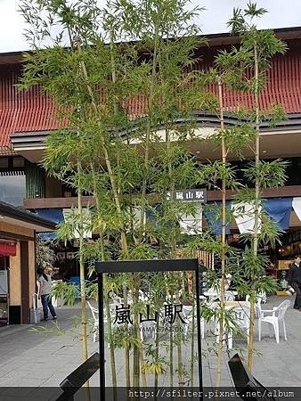 20160628_151429.jpg