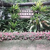 P3100050.JPG
