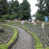 P4280640.JPG