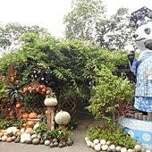 P6200020.JPG