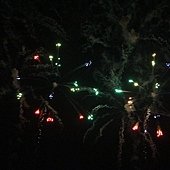 IMG_4000.JPG