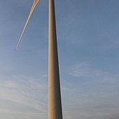 IMG_9911.JPG