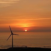 IMG_9986.JPG