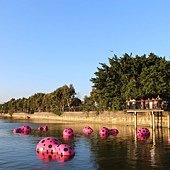 IMG_6107.JPG