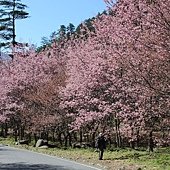 IMG_1165.JPG