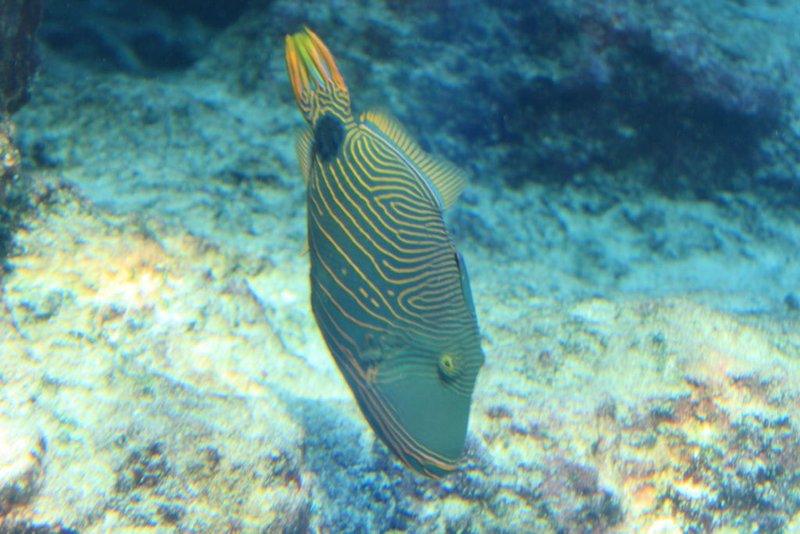 IMG_6727.JPG