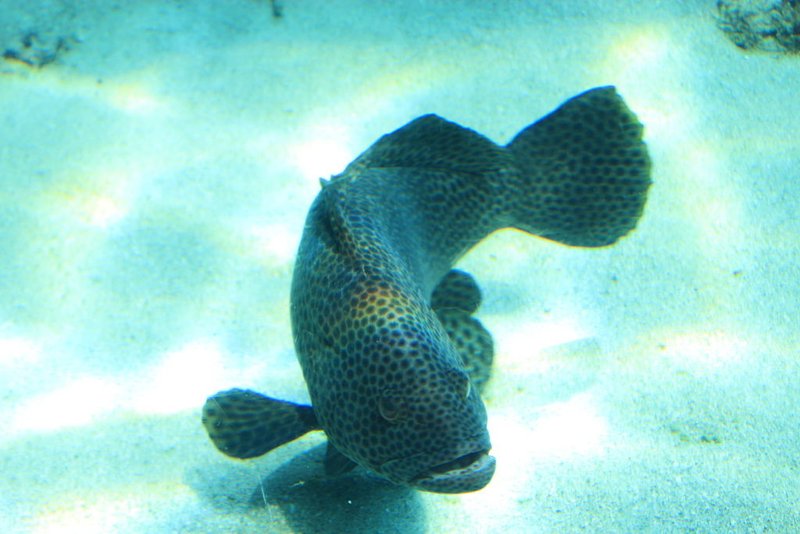 IMG_6734.JPG