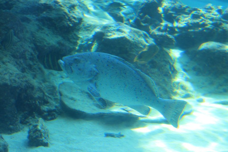 IMG_6735.JPG