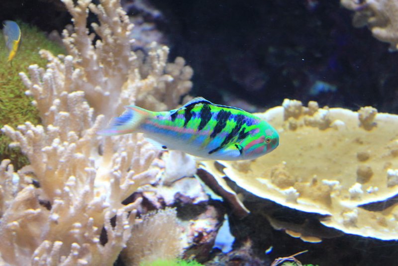 IMG_6766.JPG