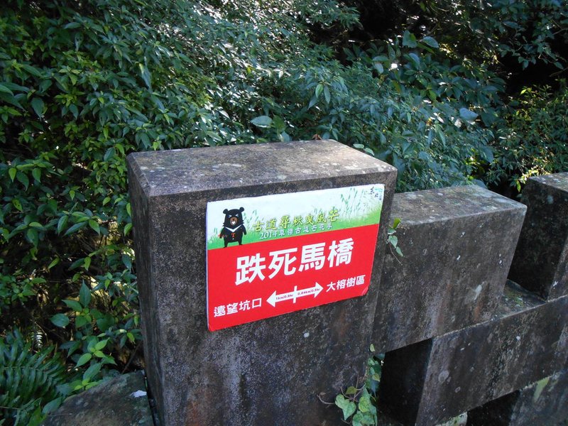 DSCN0552.JPG