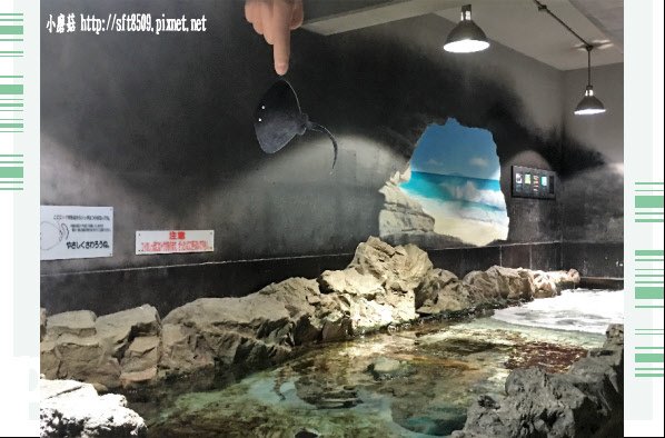 106.7.9.(47)尼克斯海洋公園.JPG