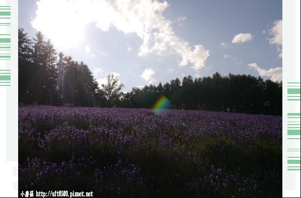 106.7.10.(13)富田農場.JPG