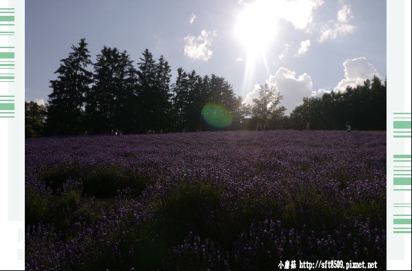 106.7.10.(41)富田農場.JPG