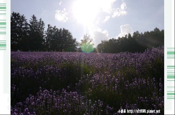 106.7.10.(43)富田農場.JPG