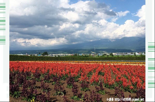 106.7.10.(56)富田農場.JPG