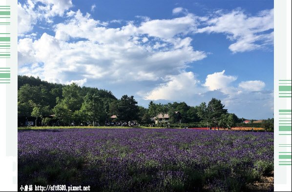 106.7.10.(85)富田農場.JPG