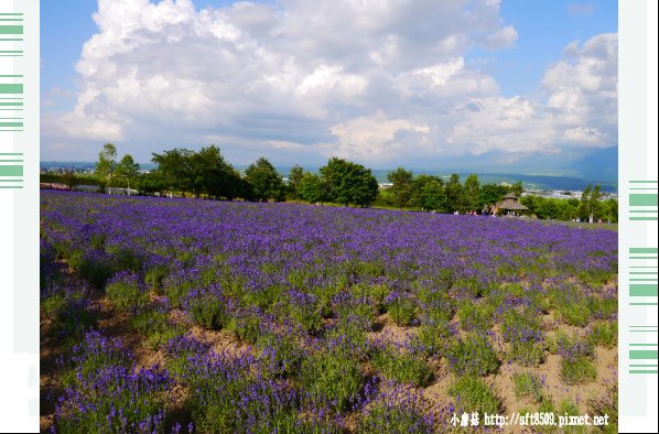 106.7.10.(112)富田農場.JPG