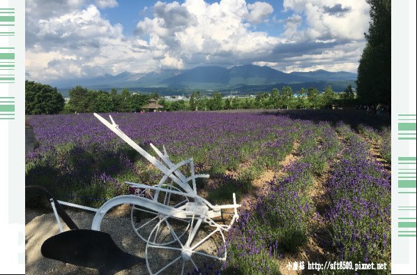 106.7.10.(116)富田農場.JPG